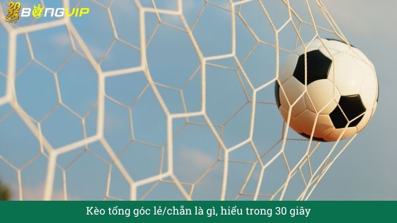 Giải mã Kèo tổng góc lẻ/chẵn – Dễ hiểu, dễ thắng