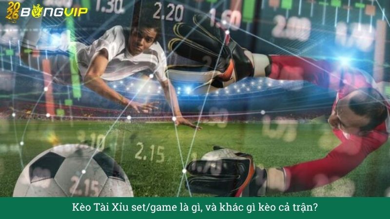 Giải mã Kèo Tài Xỉu set/game – Đọc kèo như dân chuyên