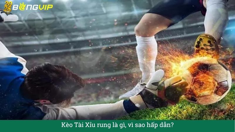 Kèo Tài Xỉu rung – Đọc nhịp trận để đi vốn khôn