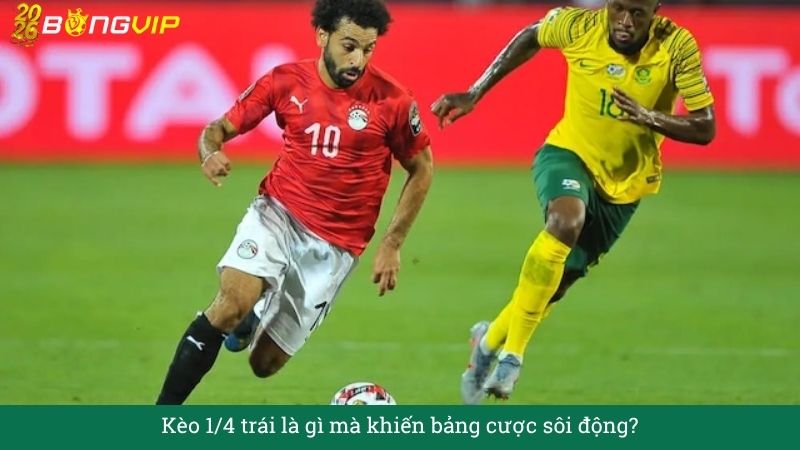 Kèo 1/4 trái – Vì sao dân chơi lâu năm mê?